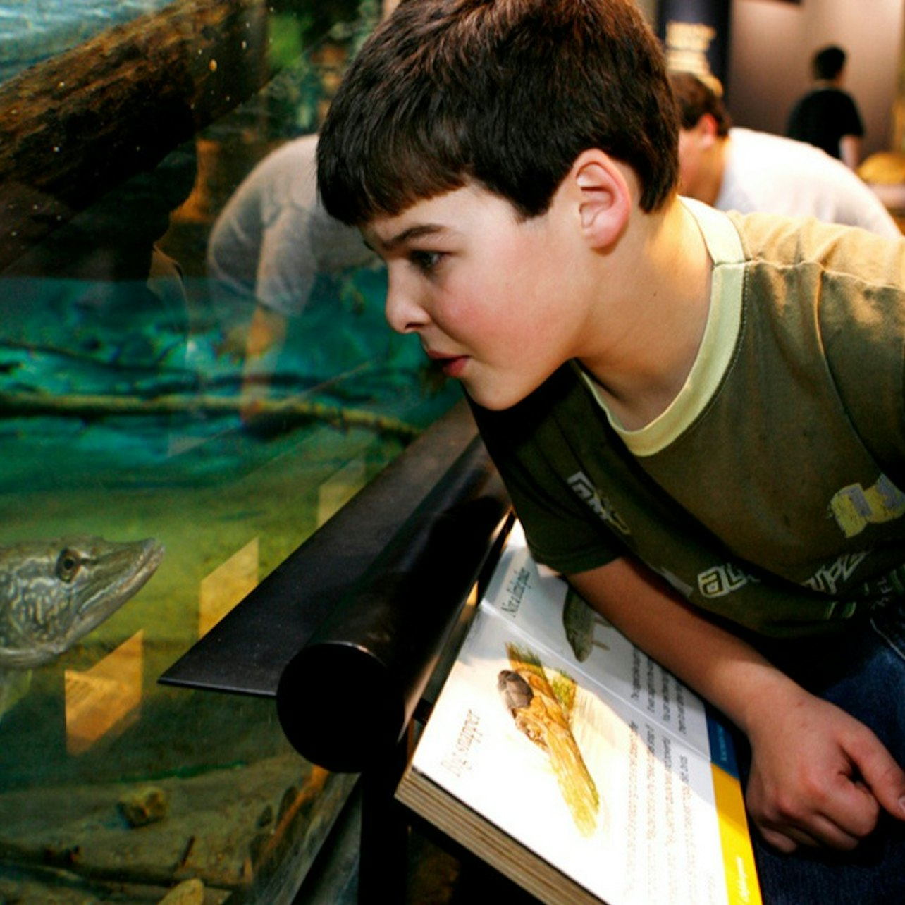 Wild Center: Tupper Lake - Photo 1 of 7